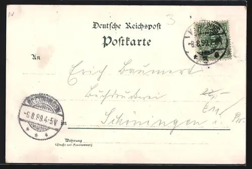 Lithographie Magdeburg, Grusan`sche Gewächshäuser, Rathaus und Johanniskirche, Kaiser-Strasse