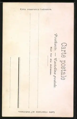 AK Geneve, Hotel du Grand St. Bernard in der 8 Rue de la Tour-Maitresse