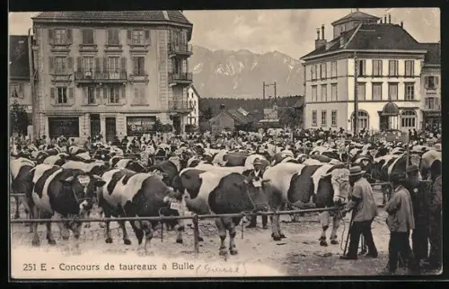 AK Bulle, Concours de taureaux