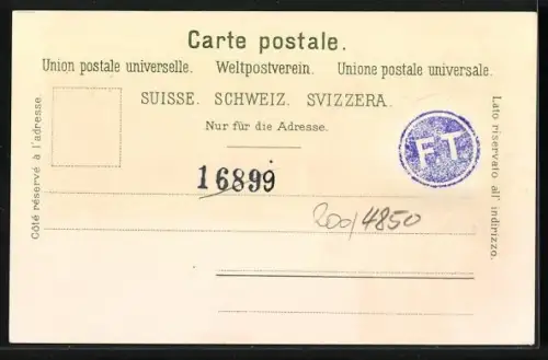 Lithographie Bex, Tour de Duin, les Diablerets, vue générale