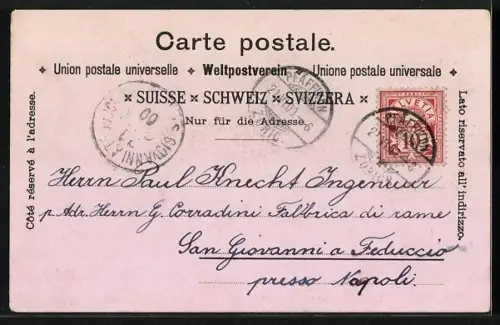 Lithographie Pfäffikon, Ansicht von Schulhaus und Kirche, Gesamtansicht