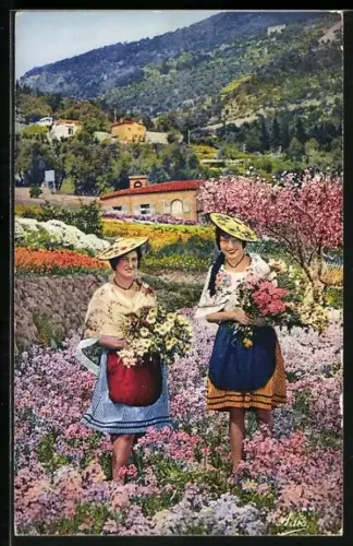 AK La Cote d`Azur, Cueillette des Fleurs