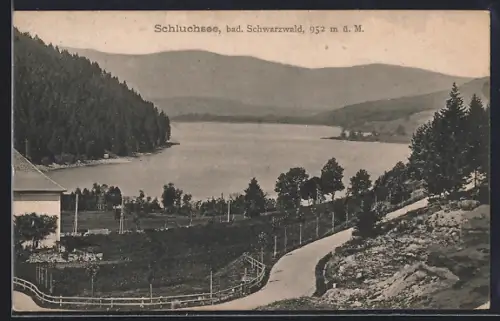 AK Schluchsee /Bad. Schwarzwald, Panorama