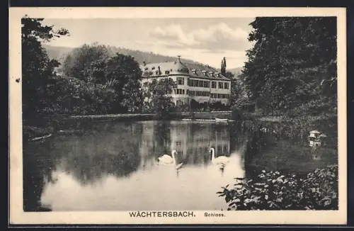 AK Wächtersbach, Teichpartie mit Blick zum Schloss