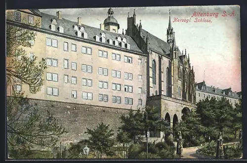 AK Altenburg /S.-A., Herzogliches Schloss