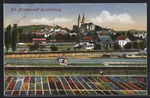 AK Quedlinburg, Stadtansicht mit Blumenfeldern