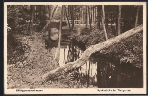 AK Königswusterhausen, Spukbrücke im Tiergarten