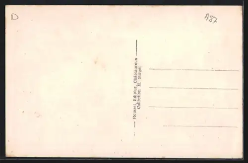 AK Vicq-Exemplet /Indre, Vue generale: Route du Chatelet