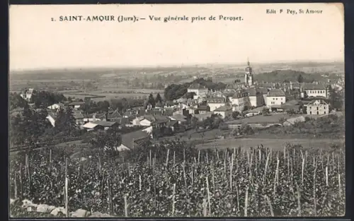 AK Saint-Amour /Jura, Vue generale prise de Peroset