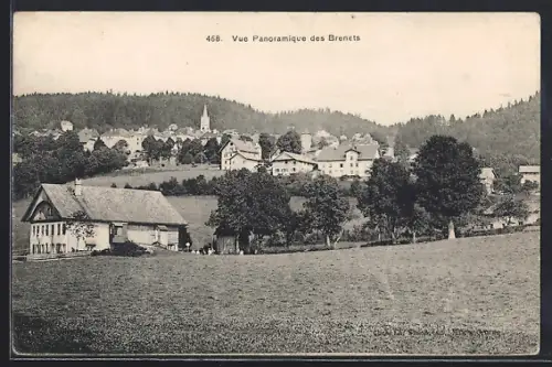 AK Brenets, Vue Panoramique