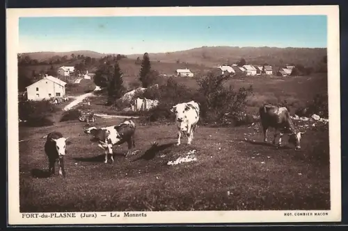 AK Fort-du-Plasne, Les Monnets
