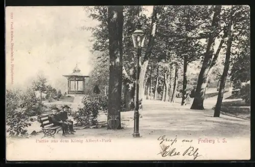 AK Freiberg i. S., Partie aus dem König Albert-Park