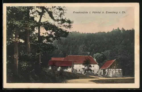 AK Eisenberg i. Th., Froschmühle im Mühltal