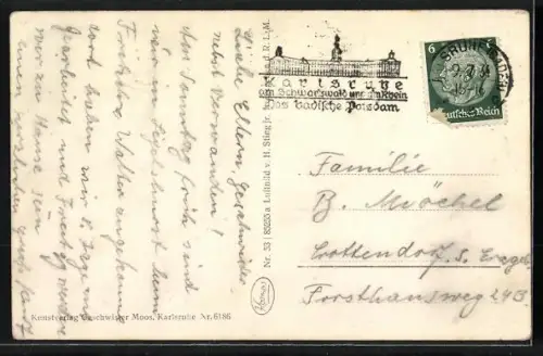 AK Karlsruhe, Rheinstrandbad Rappenwört vom Flugzeug aus