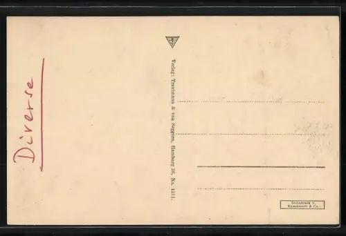 AK Hamburg-Neustadt, Dammtorstrasse, Stadttheater