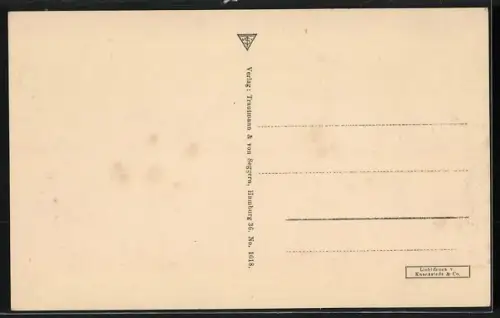 AK Hamburg, Blick in die Mönckebergstrasse