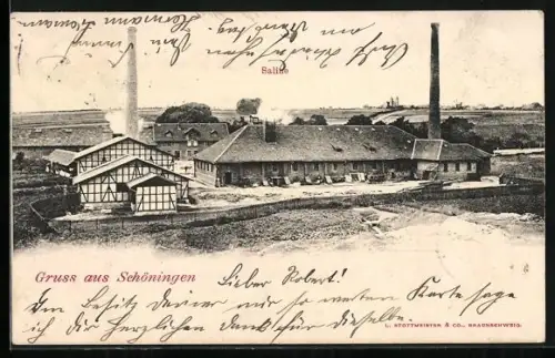 AK Schöningen, Saline