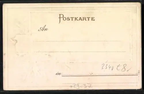 Passepartout-Lithographie Wolfenbüttel, Herzogliches Schloss, Wappen