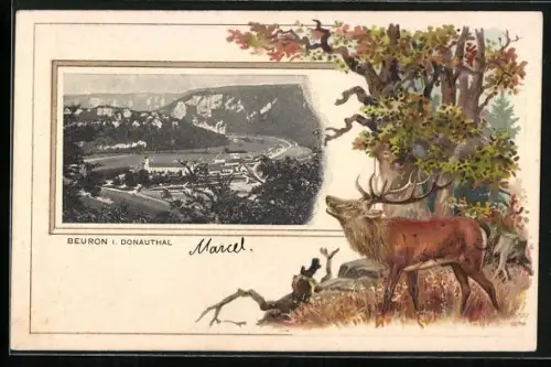 Passepartout-Lithographie Beuron i. Donauthal, Totalansicht und Hirsch