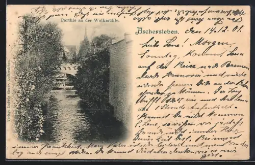 AK Aschersleben, Partie an der Walkmühle