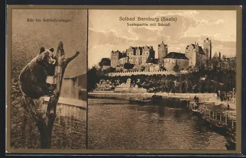 AK Bernburg /Saale, Saalepartie mit Schloss, Bär im Schlosszwinger