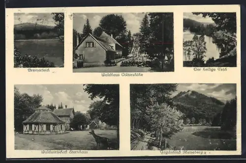 AK Meiseberg, Bremerteich, Waldhaus Viktorshöhe, Jagdschloss, Gasthaus Sternhaus