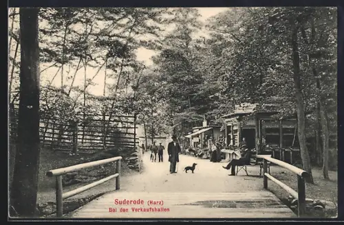 AK Suderode /Harz, Bei den Verkaufshallen