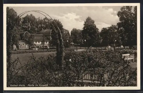 AK Melle, Partie im Kurpark