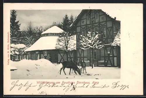 AK Gernrode /Harz, Wildfütterung am Forsthaus Sternhaus