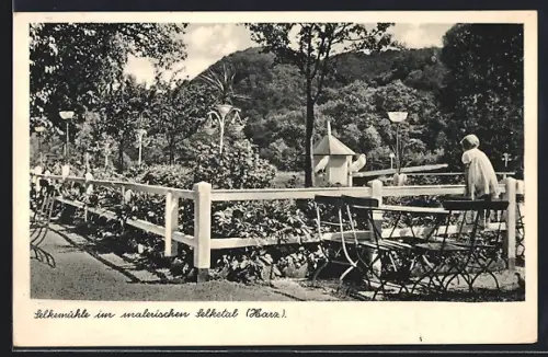AK Selkemühle bei Mägdesprung, Gartenansicht im Selketal