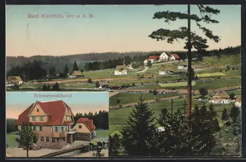 AK Bad Kniebis, Schwarzwaldhotel, Ortsansicht