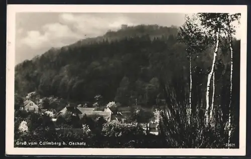 AK Collm b. Oschatz, Ortsansicht gegen Collmberg