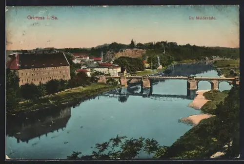 AK Grimma i. Sa., Panorama vom Muldental