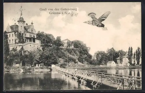 AK Grimma, Blick auf Gattersburg mit Brieftaube