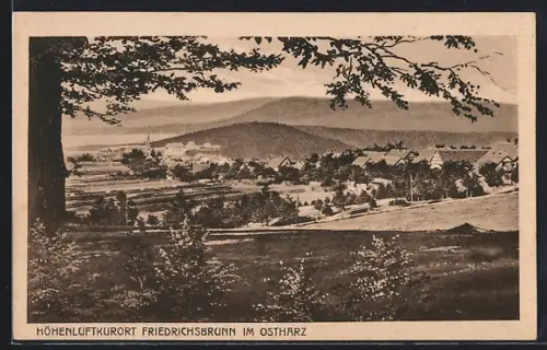 AK Friedrichsbrunn /Ostharz, Panorama vom Ort mit Landschaft