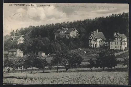 AK Gernrode am Harz, Blick auf die Osterhöhe