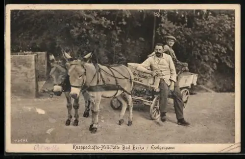 AK Bad Berka, Karren mit Eselgespann