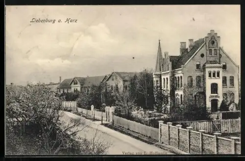 AK Liebenburg a. Harz, Partie im Ort