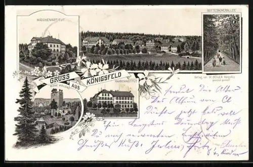 Lithographie Königsfeld / Schwarzwald, Mädchen- und Knabeninstitut, Gottesackerallee, Ruine Waldau