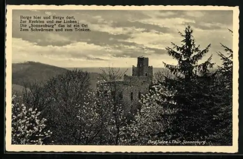 AK Bad Sulza i. Thür., Sonnenburg im Frühling