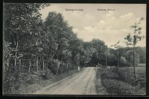 AK Schwarzenbek, Waldweg, Rülau
