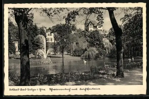 AK Bad Sulza i. Thür., Schwanenteich mit Beichtfontaine