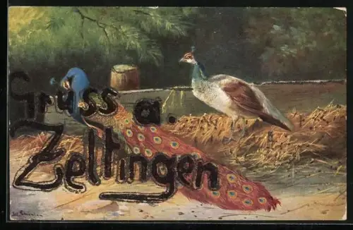 Künstler-AK Zeltingen, Pfauenpaar im Stroh
