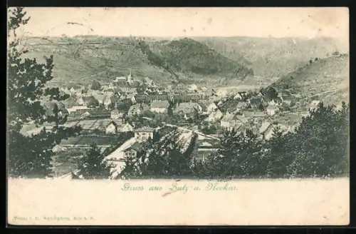 AK Sulz a. Neckar, Ortsansicht, Talblick