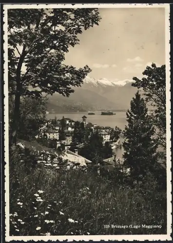 AK Brissago /Lago Maggiore, Panorama mit Bergen