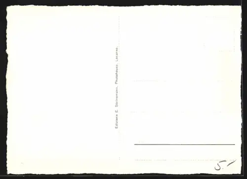 AK Ronco-s-Ascona, Panorama mit Kirche