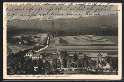 AK Iburg /Teutoburgerwald, Dörenberg mit Strassenpartie