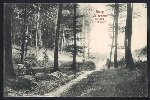 AK Iburg, Waldpartie in den Dehnen