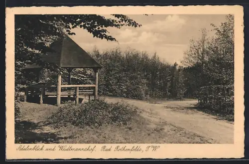 AK Bad Rothenfelde / Teutoburger Wald, Adelenblick und Weidtmannshof