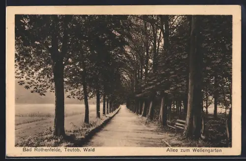AK Bad Rothenfelde /Teutob. Wald, Allee zum Wellengarten
